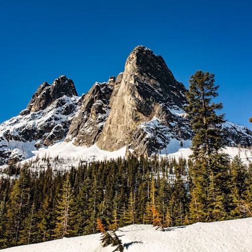 2025-Vol 2: Cascadence Legacy Mix