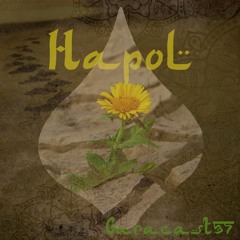 Garacast 37 by HapoL