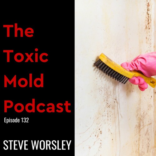 EP 132: How Does a Mold Infestation Begin?
