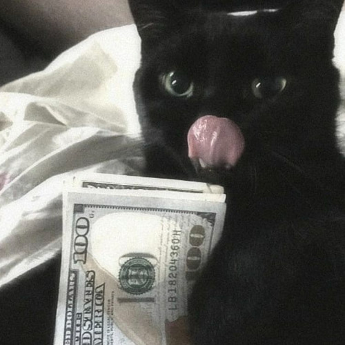 Gr8ne$$ (prod.P.A x Memory Recollection)