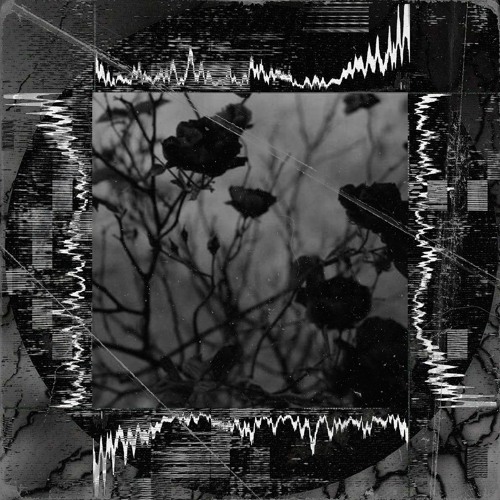 Fading w/ ABXMINVTIXN