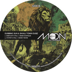 Dubbing Sun & Smalltowndubs ft. NattyCampbell & RiderShafique - Babylon A Fall