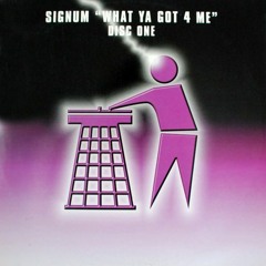 Signum - What Ya Got 4 Me (Pat Glenny Remix)