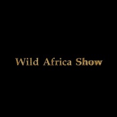 Wild Africa Show - MAXIMOPRODUCER .WAV