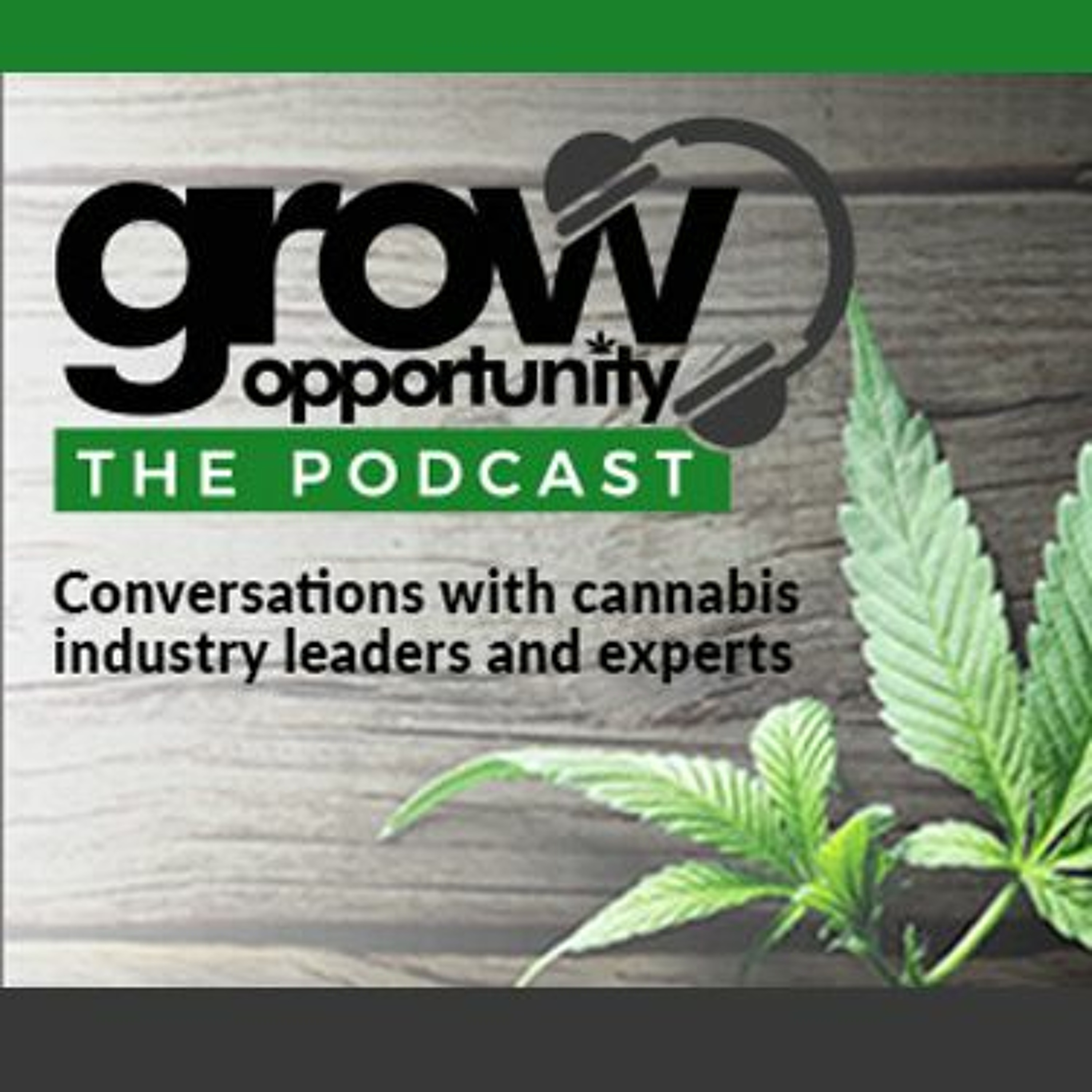 Annex Business Media: Podcasts