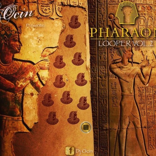 Pharaon Looper Vol.2 - Dj Ocin - Loop 5 (104 Bpm) LINK DESCRIPTION