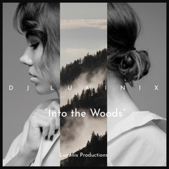 INTO THE WOODS - DJ LUMINIX