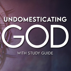 Undomesticating God - Chapter 8 - The Question of Evil by Jen O'Sullivan