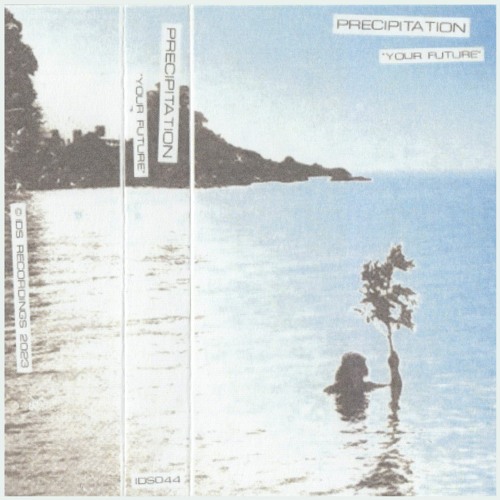 B3. PRECIPITATION - UNDERSTANDING - IDS044