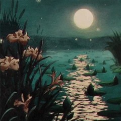schafter - pejzaż (slowed+reverb)