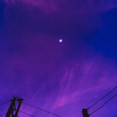 B̾x̾x̾x̾y̾ Freestyle