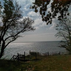 Down the rabbit hole.