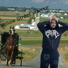 beens prod zombocat