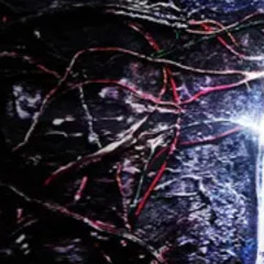 everybody leaves and everybody goes away w ocelot