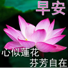 蓮花
