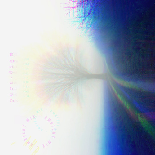 Paradigm (Ambient Mix)