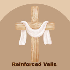 Reinforced Veils