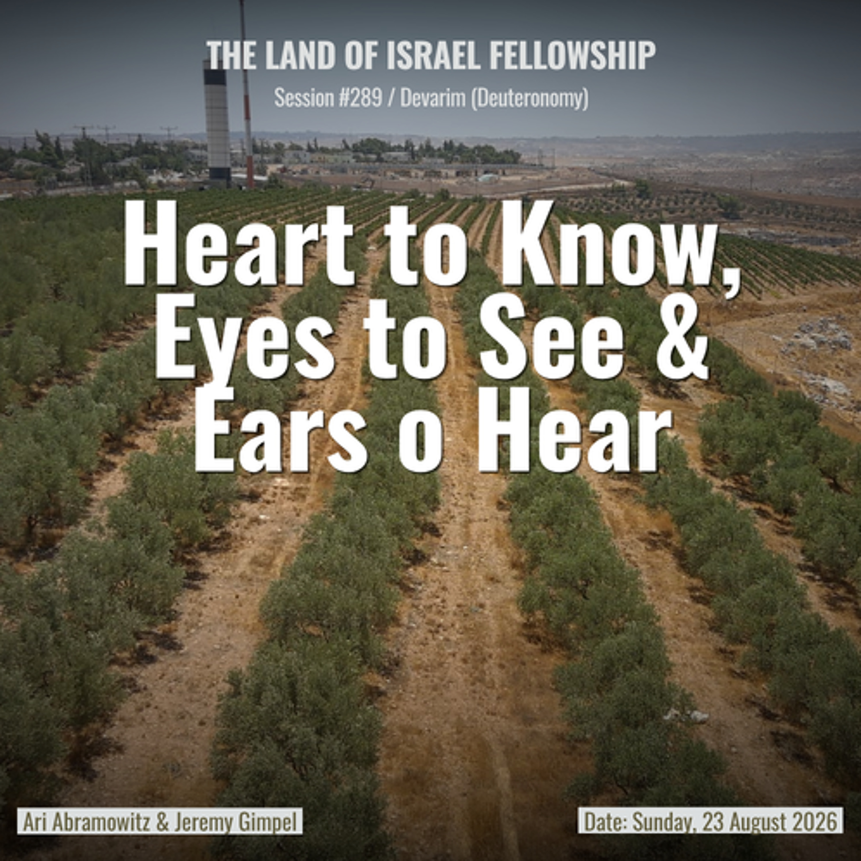 Heart to Know, Eyes to See & Ears to Hear (Ki Teitzei) | Land of Israel Fellowship