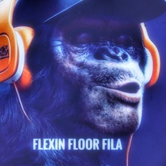 Flexin Floor Fila House CJ