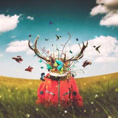 Head Trip - Lo-fi Psychedelia Bliss Mixtape
