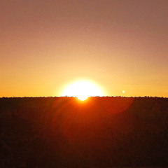 Otto 𓀻 (Guitar + Flashback Delay + Ibanez Chorus + Digitech Overdrive)