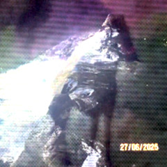 Tragado por un pájaro (mezcla dos mil veinticinco)