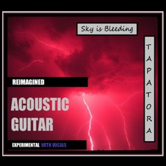 REIMAGINED - Sky is Bleeding  ( acoustic guitar ) - Lyrics