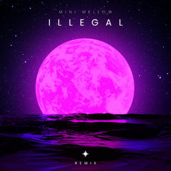 Illegal (Remix)