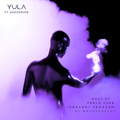 What It Feels Like (Ambient Version) - YULA & Whoisrune