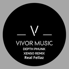 Depth Phunk - Real Fellaz ( Original Mix )