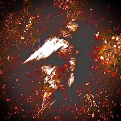 BiG NEW CHOPPa [dfaultx]