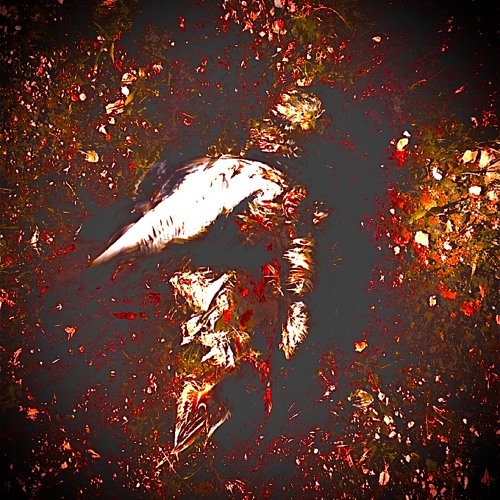 BiG NEW CHOPPa [dfaultx]