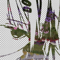 the 8 o’clock news is going crazy