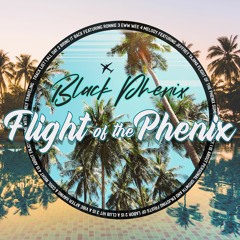 2. Bring It Back Feat Ronnie / Flight of the Phenix EP