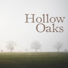 In my Dreams - Live at Millvale Music Fest