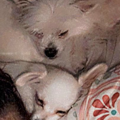 I love you Olaf ♥️.m4a