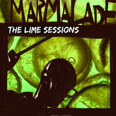 Delta P Audio - The Lime Marmalade Sessions - Sample Pack