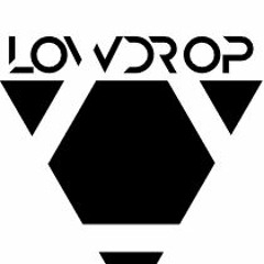 LOWDROP - GOODBYE OLD FRIEND (SPINNIN)