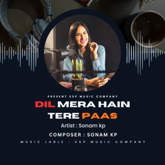 DIL MERA HAIN TERE PASS