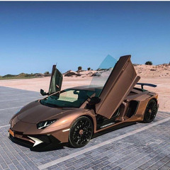 Lamborghini Doors