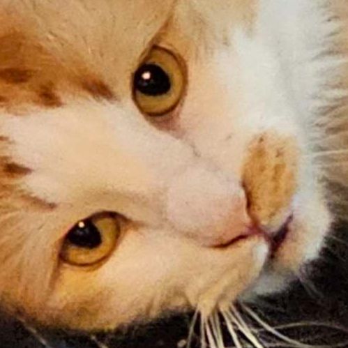 Destination: Techno – Techno – JAMuary Day 14