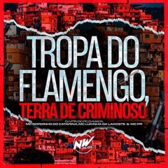 TERRA DE CRIMINOSO - DJ VITIN DO PC & DJ MACK - MC GORDINHO DO CATARINA, MC LUKINHA DA LAKOSTE MC PR
