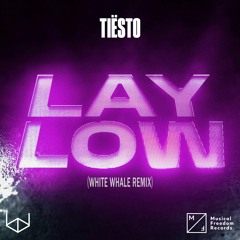 Tiësto - Lay Low (White Whale Remix)