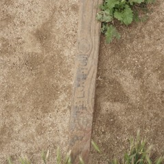 New World w/ Rafa - Mar 24, 2023