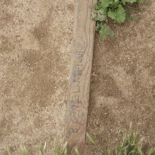 New World w/ Rafa - Mar 24, 2023