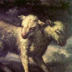 Sacrificial Lamb