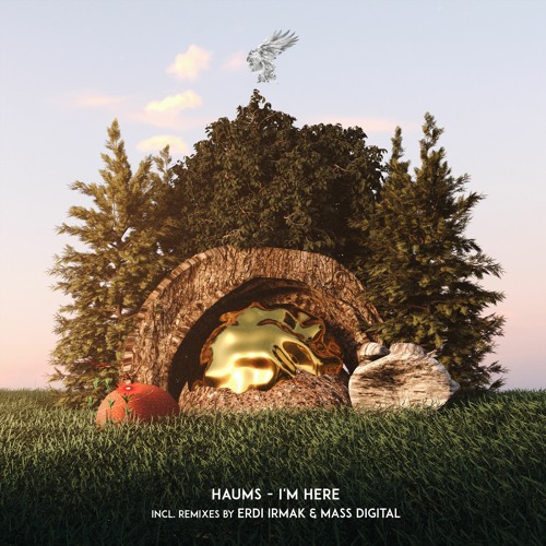 I'm Here EP (Incl. Remixes by Erdi Irmak & Mass Digital) [Harabe]