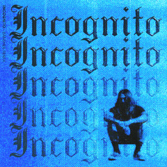 Ashxs - Incognito (BANSHEE Remix)