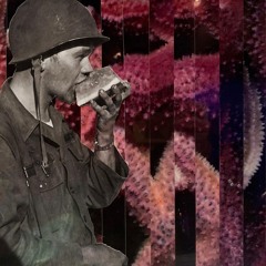 Quarantine Noise Pt. 2