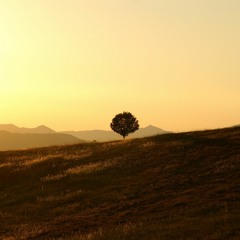 （再）Track 33 [ BPM : 77] - フリートラック提供 / RapBeat / Free Track / HIP HOP / Sampling / Piano / Strings